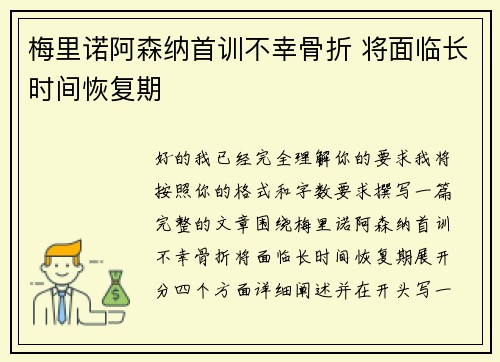 梅里诺阿森纳首训不幸骨折 将面临长时间恢复期